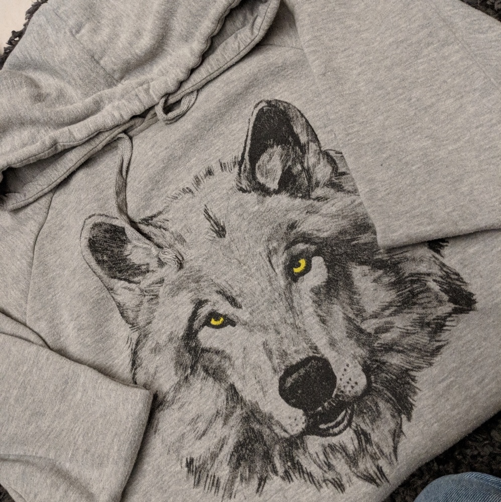 Cotton on wolf sweater in a size small